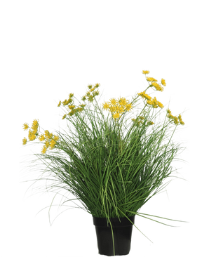 La pianta di erba artificiale Asteraceae ignifuga da 70 cm ha foglie verdi lunghe e sottili e mazzi di piccoli fiori gialli in un vaso nero, che è una pianta di erba artificiale di facile manutenzione su uno sfondo bianco semplice.