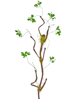 Il ramo artificiale Enkianthus verde da 100 cm, un sottile tralcio artificiale con piccole foglie verdi e accenti di muschio, si erge su un semplice sfondo bianco.