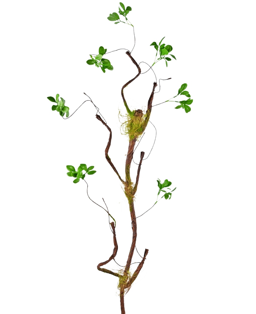 Il ramo artificiale Enkianthus verde da 100 cm, un sottile tralcio artificiale con piccole foglie verdi e accenti di muschio, si erge su un semplice sfondo bianco.