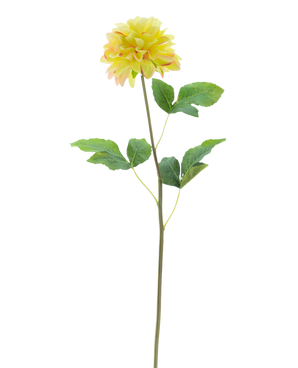 De Kunstbloem Dahlia Real Touch Champagne 73 cm heeft een enkele champagnekleurige dahliabloem met groene bladeren op een lange steel, tegen een witte achtergrond.