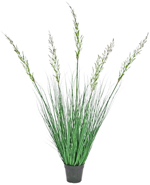 De Kunst Grasplant Tarwe 120 cm brandvertragend in een pot heeft hoge, rechtopstaande bladeren en bloeistengels, waardoor hij ideaal is voor een groene inrichting. Deze onderhoudsvrije plant voegt stijlvol groen toe tegen een witte achtergrond.