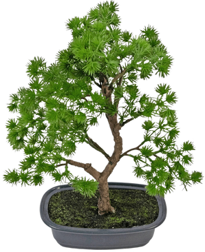 De Kunstplant Bonsai Juniper 30 cm heeft heldergroene naaldachtige bladeren en een bruine stam, in donkere aarde in een ondiepe, rechthoekige grijze pot.