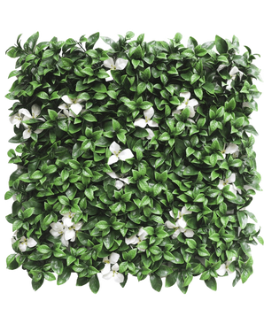 La Siepe Artificiale Gardenia con fiore bianco 50x50 cm UV è un pannello quadrato con fitte foglie verdi e fiori bianchi sparsi su sfondo bianco.