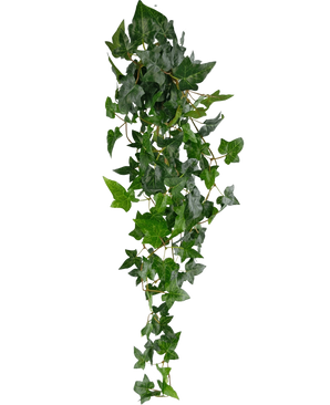 La pianta pensile artificiale Ivy Boston verde da 100 cm ha foglie appuntite di un verde rigoglioso su steli lunghi e sottili, che creano un realistico effetto di edera rampicante su uno sfondo bianco a tinta unita.