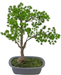 Bonsai artificiale Ginepro 40 cm