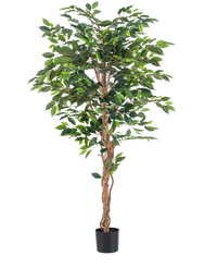 Piante Finte Ficus Verde 180 cm