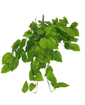 L'arbusto artificiale Pothos Deluxe da 90 cm ha foglie verdi vivaci a forma di cuore su steli sottili, su uno sfondo bianco semplice.