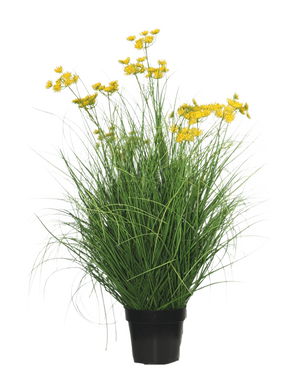La pianta di erba artificiale Asteraceae ignifuga da 90 cm ha foglie lunghe e sottili simili a erba e mazzi di piccoli fiori gialli brillanti su lunghi steli, su uno sfondo bianco semplice.