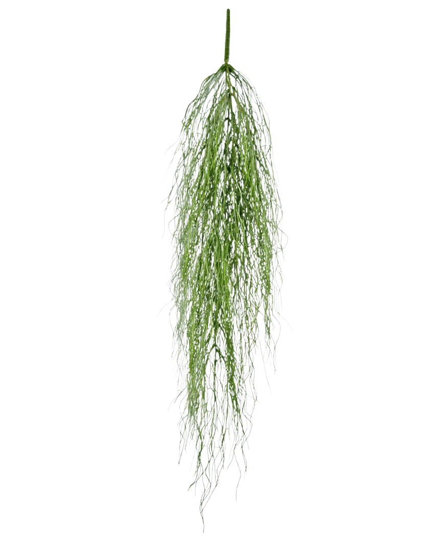 La pianta pensile artificiale Erba alga 91 cm ha un unico stelo di soffice fogliame artificiale verde con foglie lunghe e sottili che cadono con grazia su uno sfondo bianco semplice.