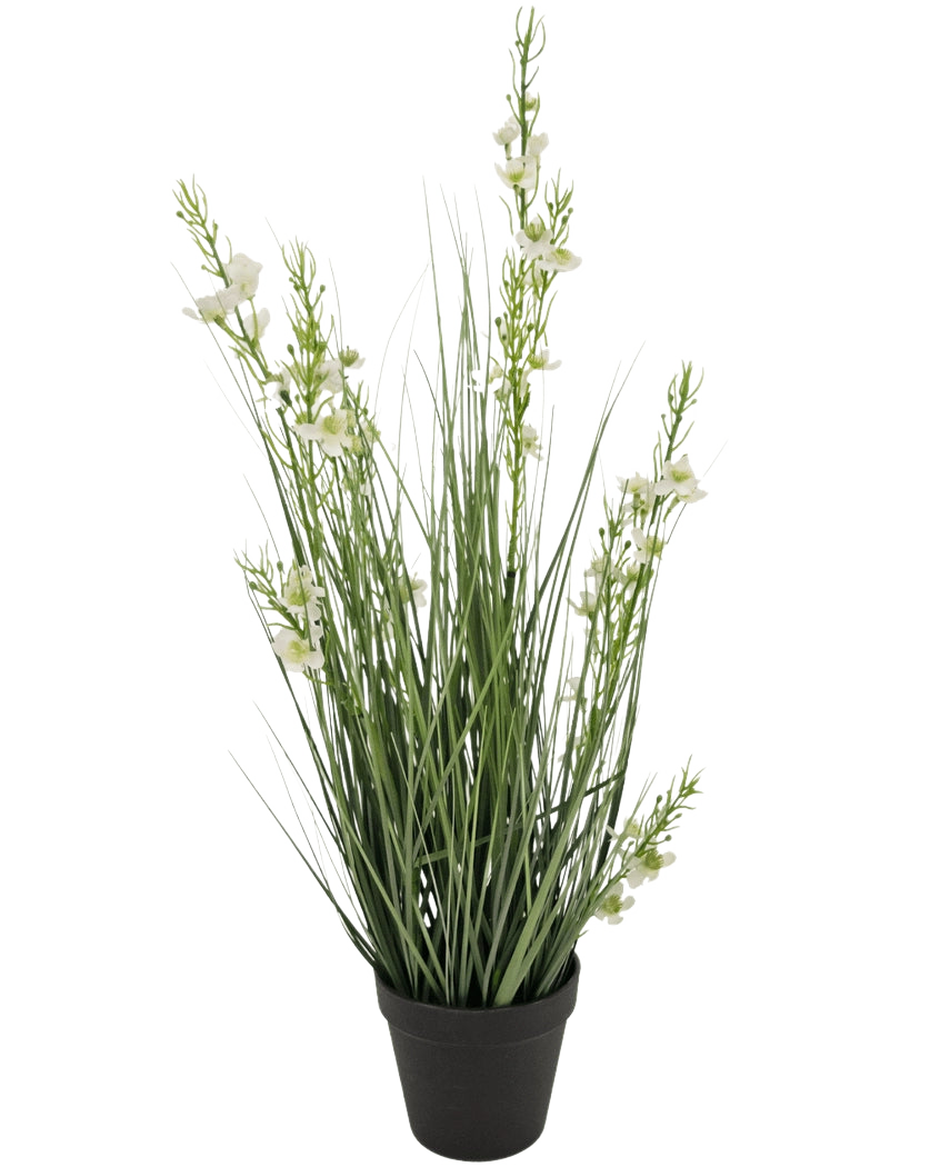 Il vaso di erba artificiale miglio cipolla ignifuga da 65 cm ha foglie verdi alte e sottili simili a erba e diversi steli con piccoli fiori bianchi in un vaso nero, su uno sfondo bianco semplice.