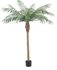 Palma Artificiale Phoenix Deluxe 180 cm