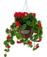 De Kunstbegonia Rood in Mand UV 70cm heeft levendige rode kunstbegonia's en weelderige groene bladeren in een gevlochten mand met slingerende stelen, hangend aan een metalen ketting en afgewerkt met een kleine ovale plaquette met de tekst "Flowers.