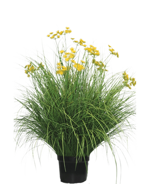 La pianta di erba artificiale Asteraceae ignifuga da 100 cm ha foglie lunghe e strette e mazzi di fiori gialli brillanti su steli alti. Questa pianta che non richiede manutenzione è bellissima in qualsiasi interno su uno sfondo bianco.