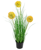De Kunst Grasplant Ui 50 cm brandvertragend heeft lange, dunne groene bladeren en drie ronde gele pluizige bloemen op hoge stelen, die groene tuin charme toevoegen tegen een effen witte achtergrond.