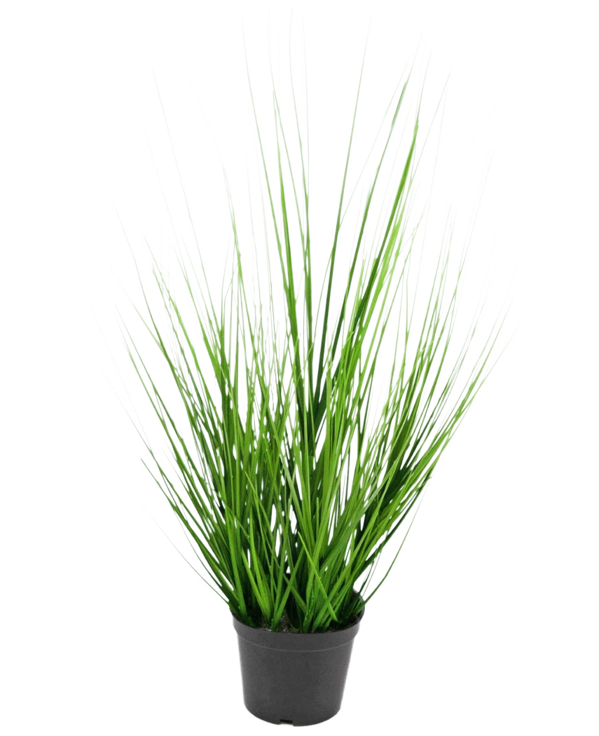 L'erba artificiale cipolla ignifuga da 48 cm è un piccolo vaso di plastica nera con foglie lunghe, sottili e vivaci simili a erba verde su un semplice sfondo bianco.