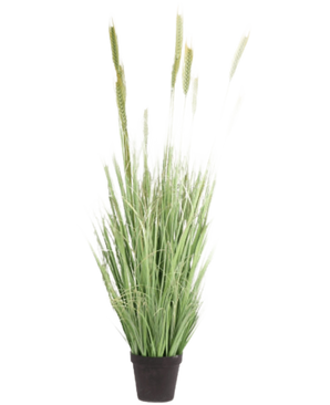 Pianta erba artificiale verde ignifuga da 160 cm con lame lunghe e sottili e teste di semi in un piccolo vaso nero. Ideale come pianta finta elegante e ignifuga per ogni stanza.