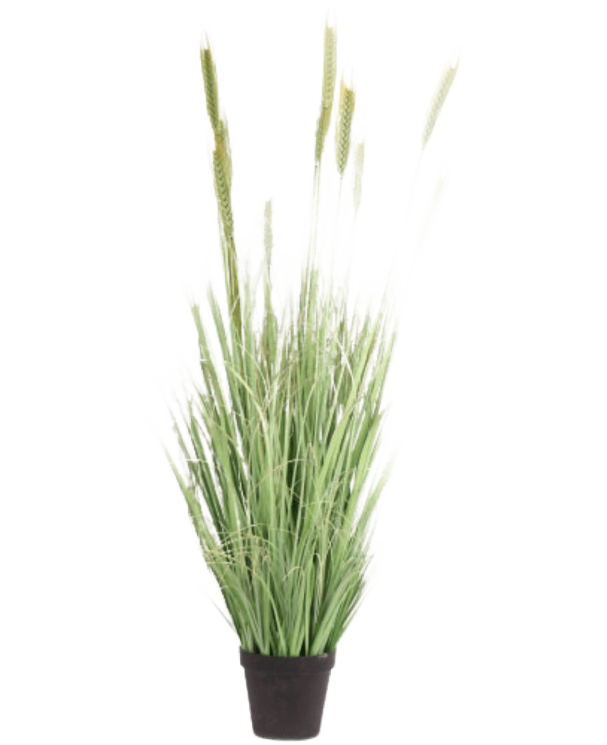Pianta erba artificiale verde ignifuga da 160 cm con lame lunghe e sottili e teste di semi in un piccolo vaso nero. Ideale come pianta finta elegante e ignifuga per ogni stanza.