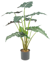 La pianta artificiale Alocasia UV 67 cm è una pianta artificiale in vaso con grandi foglie verde scuro a forma di freccia e sorprendenti venature bianche, raffigurate su un semplice sfondo bianco.