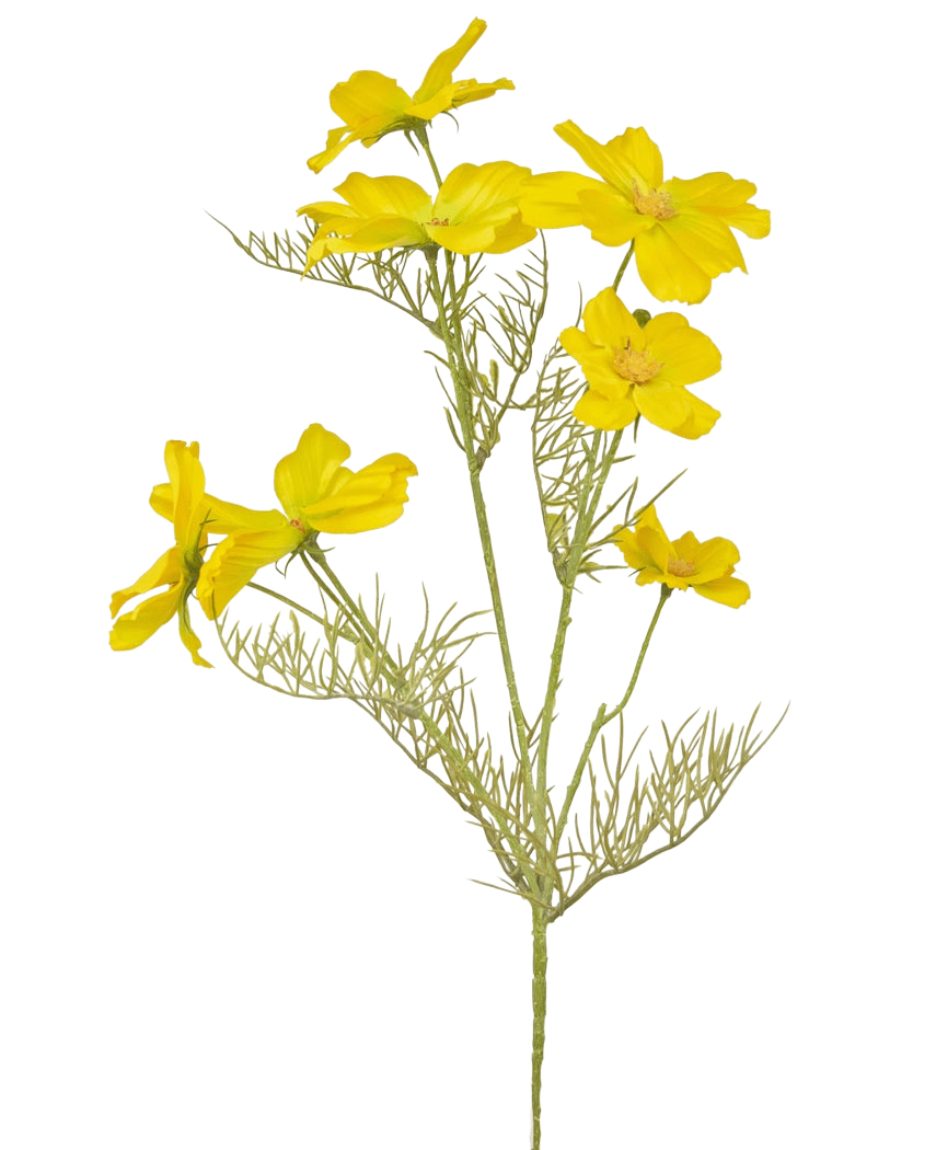 Il fiore artificiale Cosmos giallo da 74 cm ha fiori gialli brillanti e foglie verdi delicate e piumate su steli sottili, perfetti per creare un bouquet su un semplice sfondo bianco.