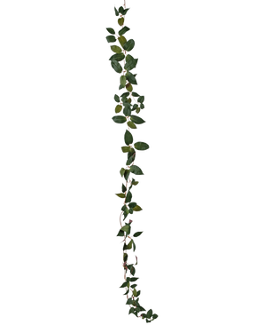 La ghirlanda verde Art Tradescantia da 180 cm è una vite a foglia verde singola raffigurata verticalmente su uno sfondo bianco semplice.