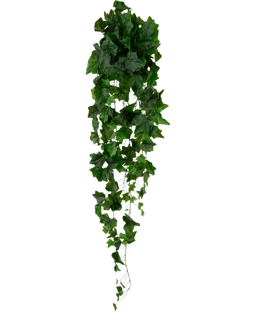 L'edera artificiale verde da 105 cm ha fitte foglie verdi che cadono, creando un rigoglioso effetto di edera strisciante su uno sfondo bianco semplice.