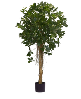 La pianta artificiale Schefflera foglie piccole da 150 cm ha un tronco alto e contorto e densi mazzi di foglie verde scuro su uno sfondo bianco uniforme. Ideale per aggiungere un tocco di freschezza ai tuoi interni o da esporre in eleganti vasi decorativi.