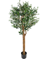 De Kunst olijfboom UV 155 cm is een Easyplants kunstplant in pot met een hoge bruine stam, dichte groene bladeren en kleine zwarte olijven, elegant tegen een effen witte achtergrond.