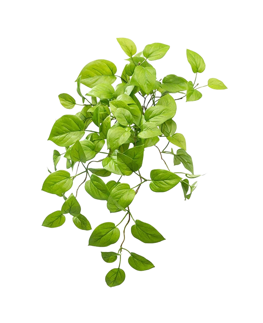 L'arbusto artificiale di Pothos Deluxe da 60 cm ha foglie ovali di un verde vibrante su steli finali, che ricordano una pianta di Pothos, elegantemente esposte su un semplice sfondo bianco.