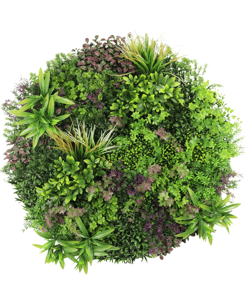 Una vista dall'alto della siepe artificiale su telaio nero Ø100 cm mostra una rigogliosa e densa esposizione di piante a foglia verde e viola disposte in uno schema circolare su uno sfondo bianco.
