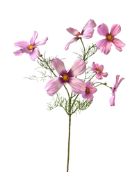 Fiore artificiale Cosmos 74 cm rosa