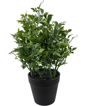 De Kunstplant Grape 25 cm is een kleine kunstplant met dichte, krullende groene bladeren in een eenvoudige zwarte pot met aarde, geïsoleerd op een witte achtergrond.