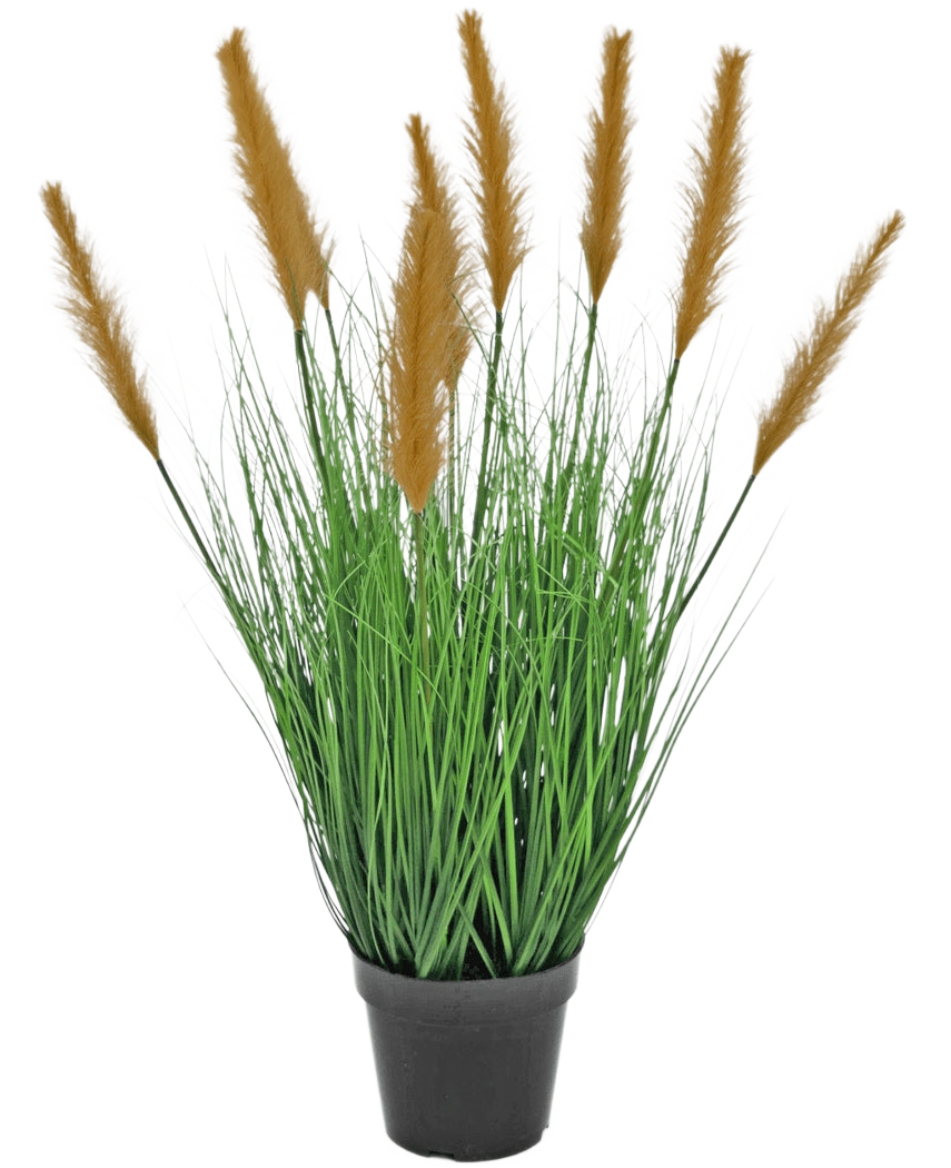 La pianta di erba artificiale struzzo ignifuga da 80 cm ha lame verdi lunghe e sottili e alte piume marroni in un vaso nero, su uno sfondo bianco - ideale per gli amanti delle piante artificiali.