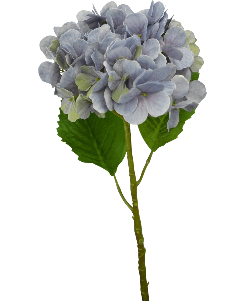 Un'unica Ortensia Artificiale Deluxe con stelo lilla da 57 cm con petali viola chiaro e due grandi foglie verdi, isolata su sfondo bianco.