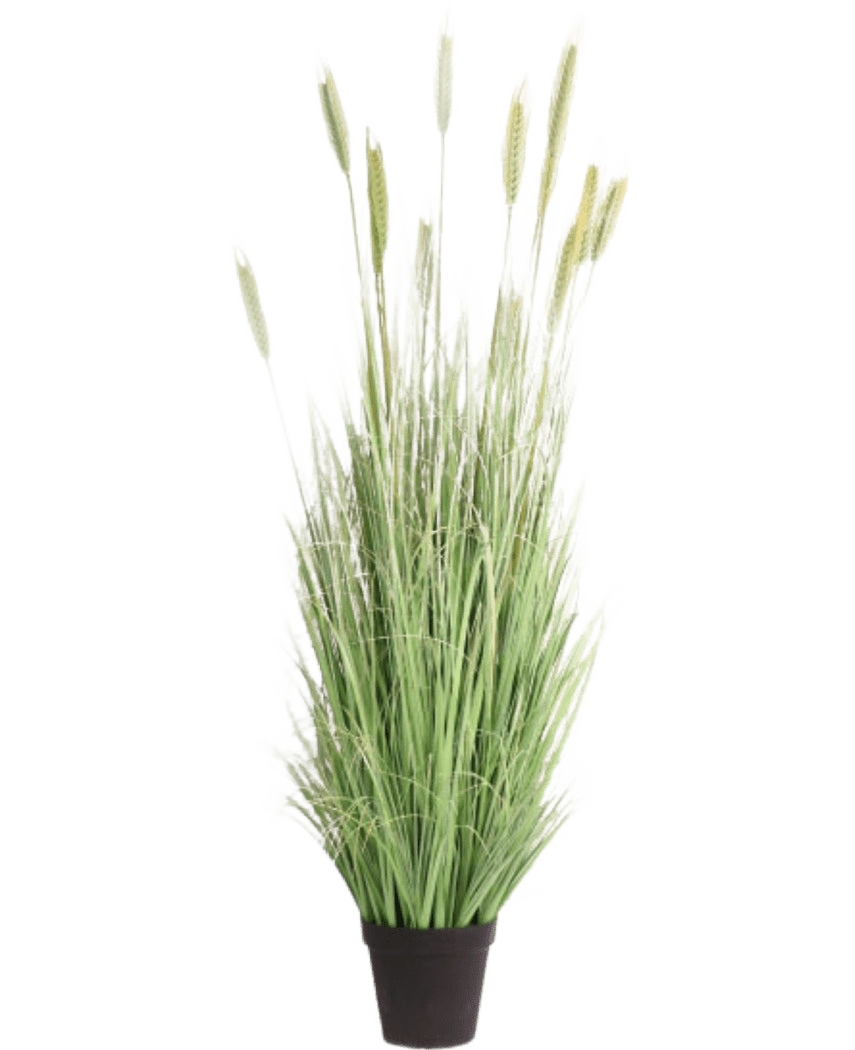 La pianta di erba artificiale verde ignifuga da 180 cm ha fili verdi lunghi e sottili e spighe simili a grano in un vaso nero: ideale per una decorazione d'interni elegante e una maggiore sicurezza.