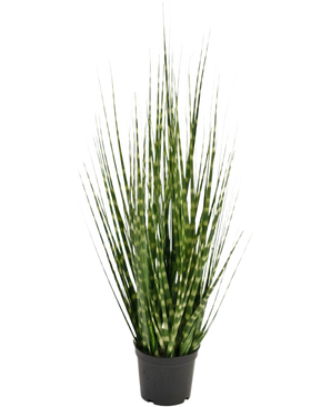 De Kunstgras Zebra uiengras tak is een 56 cm grote kunstplant met lange, rechtopstaande groene bladeren en horizontale lichtgroene strepen. Hij is brandvertragend en staat in een kleine zwarte container op een witte achtergrond.