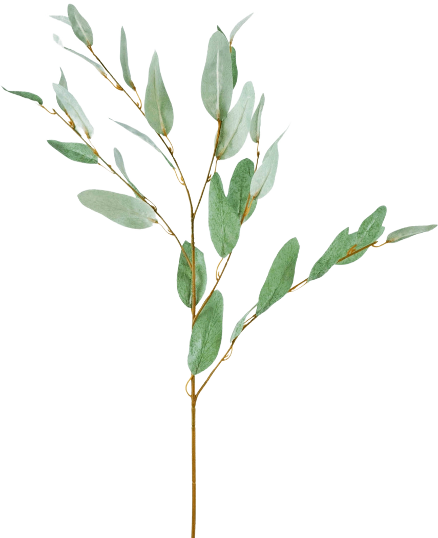 Il Ramo Artificiale Eucalipto 86 cm verde ha un unico ramo decorativo di eucalipto con sottili foglie di seta verde e sottili steli marroni, isolato su fondo bianco.