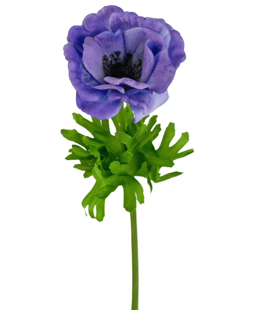 L'anemone artificiale Real Touch Blue Purple 52 cm ha un anemone blu-viola a strato singolo con un cuore scuro su uno stelo verde e foglie profondamente lobate, su uno sfondo bianco.