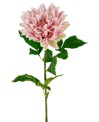Finti Georgine Real Touch rosa chiaro 70 cm