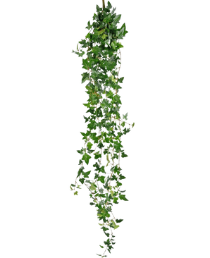 La pianta pensile artificiale Ivy Boston 180 cm verde ha lunghi steli verdi pendenti con foglie appuntite che cadono su uno sfondo bianco semplice.