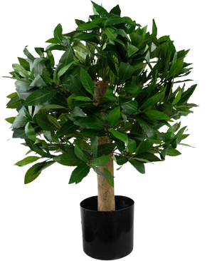 La pianta di alloro artificiale UV d40 cm è un piccolo albero artificiale con fitte foglie verdi in un vaso nero, raffigurato su uno sfondo bianco a tinta unita.