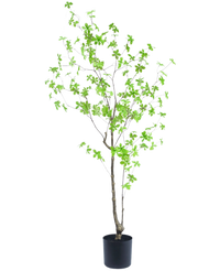 Piante Finte Enkianthus 150 cm