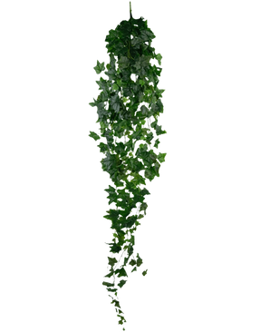L'edera artificiale verde da 180 cm è un'edera verde artificiale singola con foglie dense e appuntite che pendono verticalmente su uno sfondo bianco semplice.