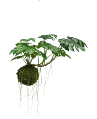 Piante Artificiali ricadenti Monstera Deluxe 60 cm