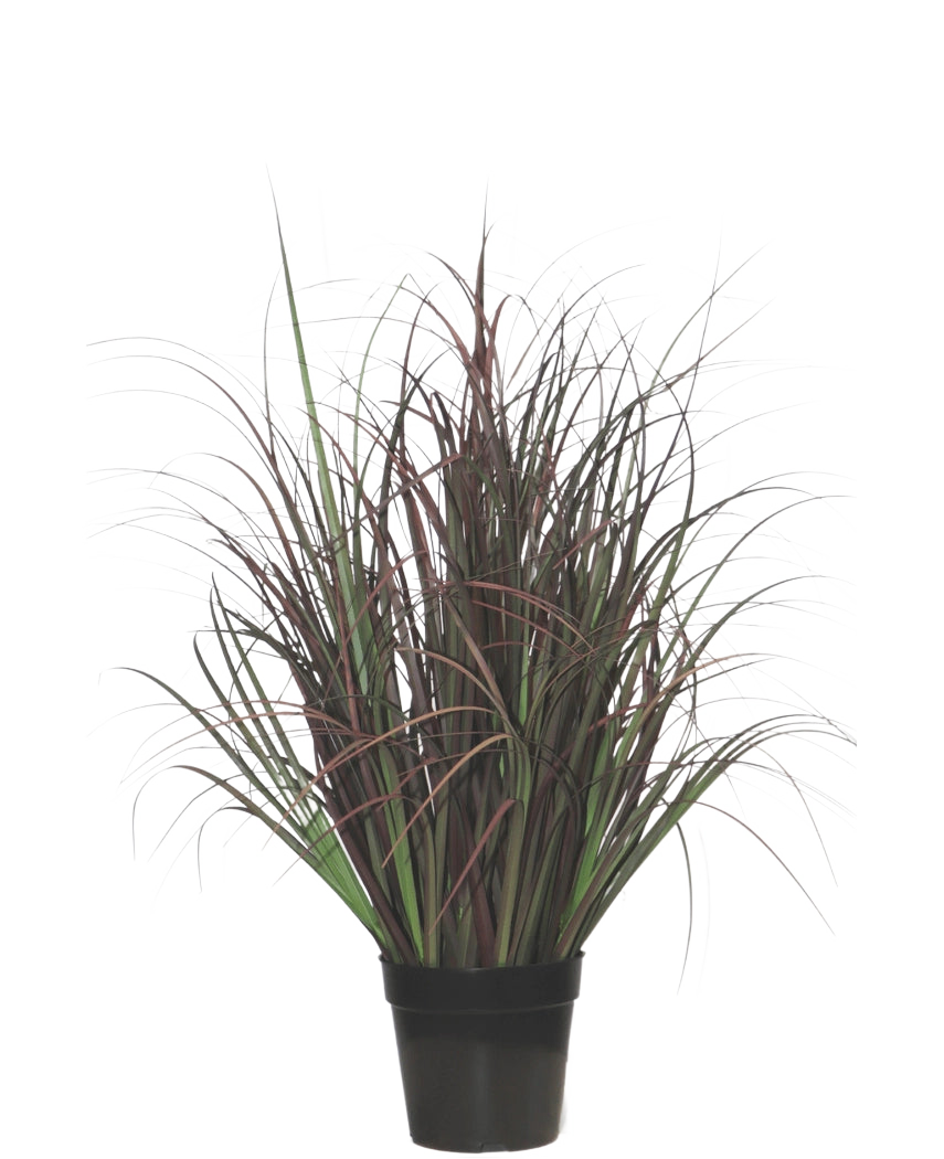 La pianta di erba artificiale per prato selvatico da 70 cm, ignifuga, ha foglie strette verde scuro e rosso-viola in un vaso nero - perfetta come pianta che non richiede manutenzione per qualsiasi interno.
