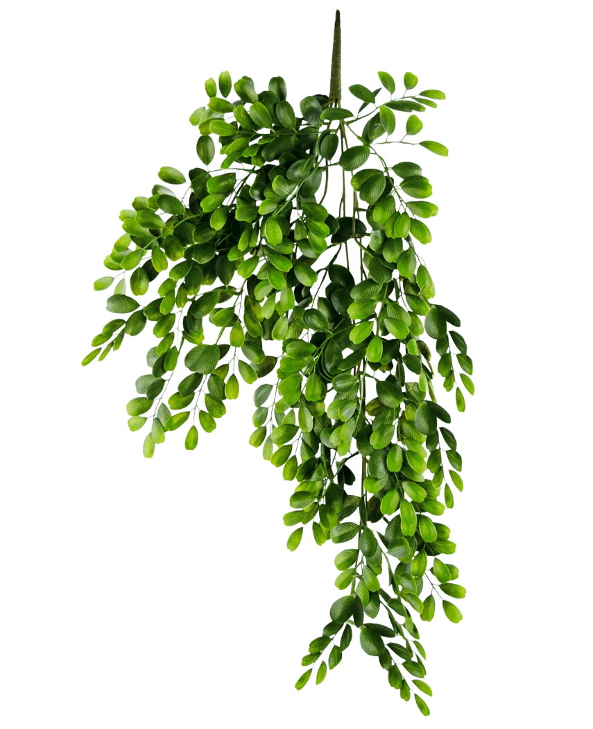 La pianta pensile artificiale Pumila 86 cm è un ramo artificiale realistico con steli multipli di piccole foglie ovali verde brillante, che appaiono rigogliose e cadenti su un semplice sfondo bianco.