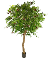 De Kunst Appelboom 240 cm is een hoge boom in pot met een dikke stam, dichte groene bladeren en verschillende rode appels aan de takken tegen een effen witte achtergrond.