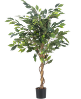 La pianta artificiale Ficus Green 120 cm ha foglie verdi e uno stelo ritorto, in un piccolo vaso nero su sfondo bianco a tinta unita.