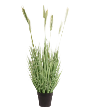 De Kunst Grasplant Groen 130 cm brandvertragend heeft lange, slanke groene bladeren en lange, tarwe-achtige stengels in een kleine zwarte pot, tegen een witte achtergrond.