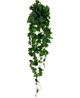 De Kunst Klimop 105 cm groen heeft levensechte kunstmatige klimopbladeren met lange, slingerende ranken, ontworpen om op een hangplant te lijken, geïsoleerd afgebeeld op een witte achtergrond.