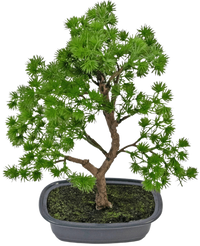 Bonsai artificiale Ginepro 30 cm